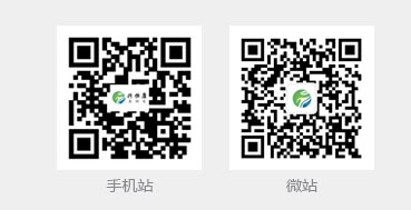 手機(jī)站，微站